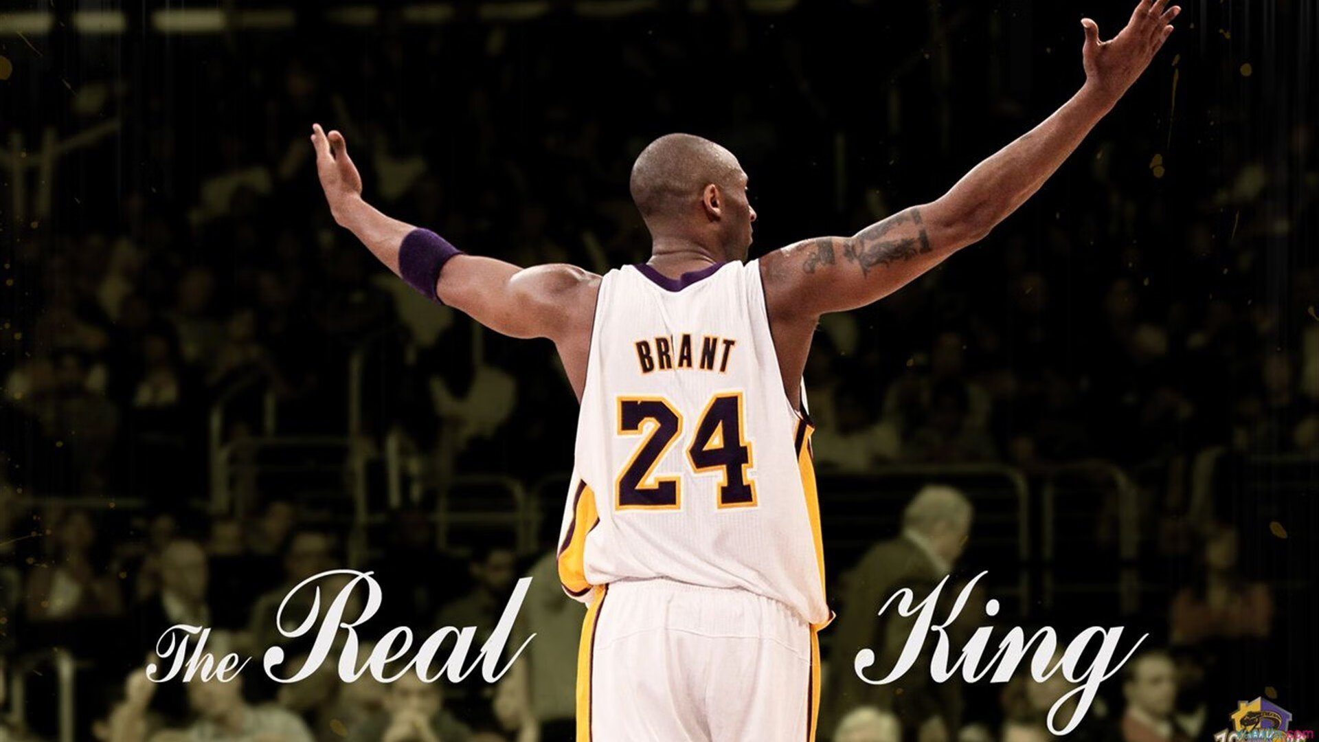 “亚戈·卡尔曼的全面技术,成为阿根廷美洲狮队的关键力量”